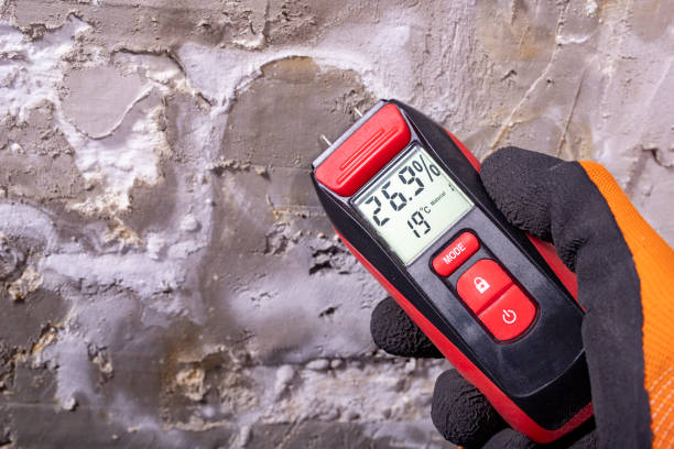 Best Residential Mold Remediation in Topeka, IN